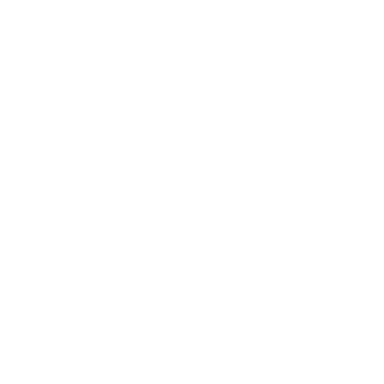 Enhanced speed capability icon