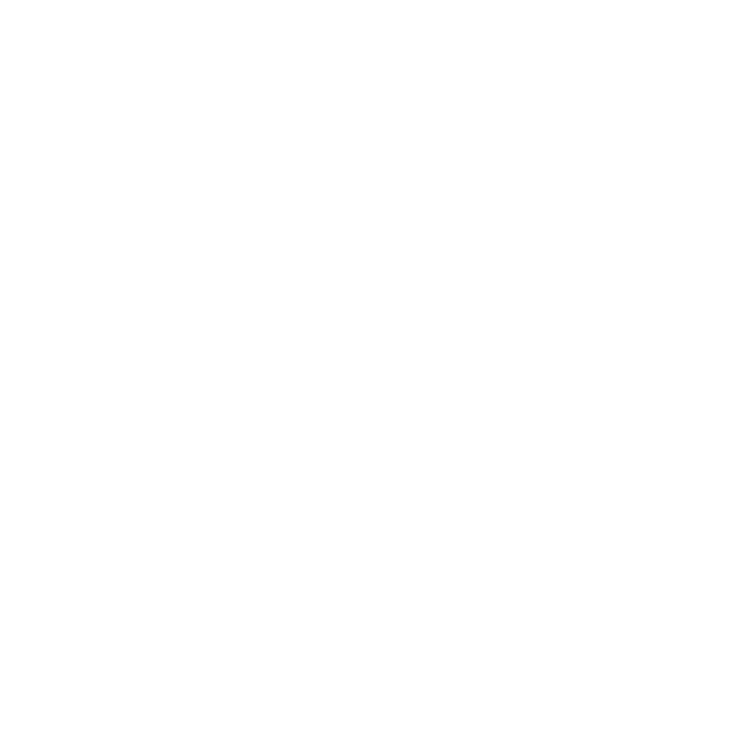 D-Bot weight specification icon