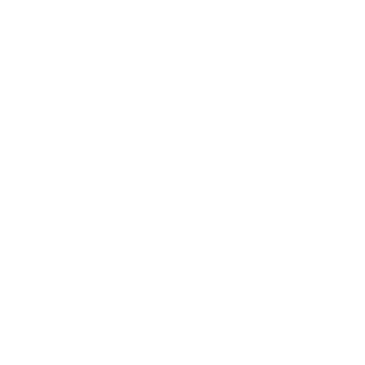 Maximum payload capability icon