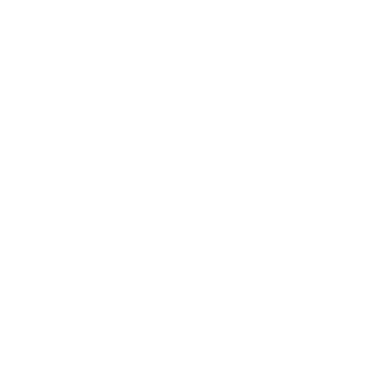 Safety features shield icon
