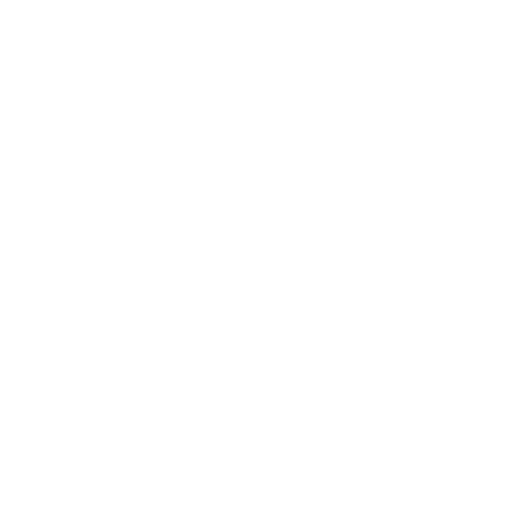 Download PDF
